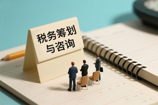 财税代理记账服务配图