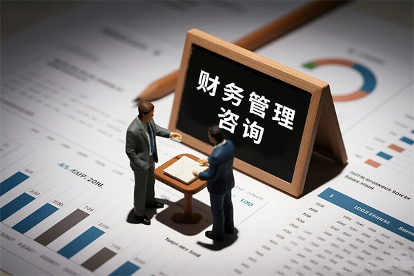 财税代理记账服务配图